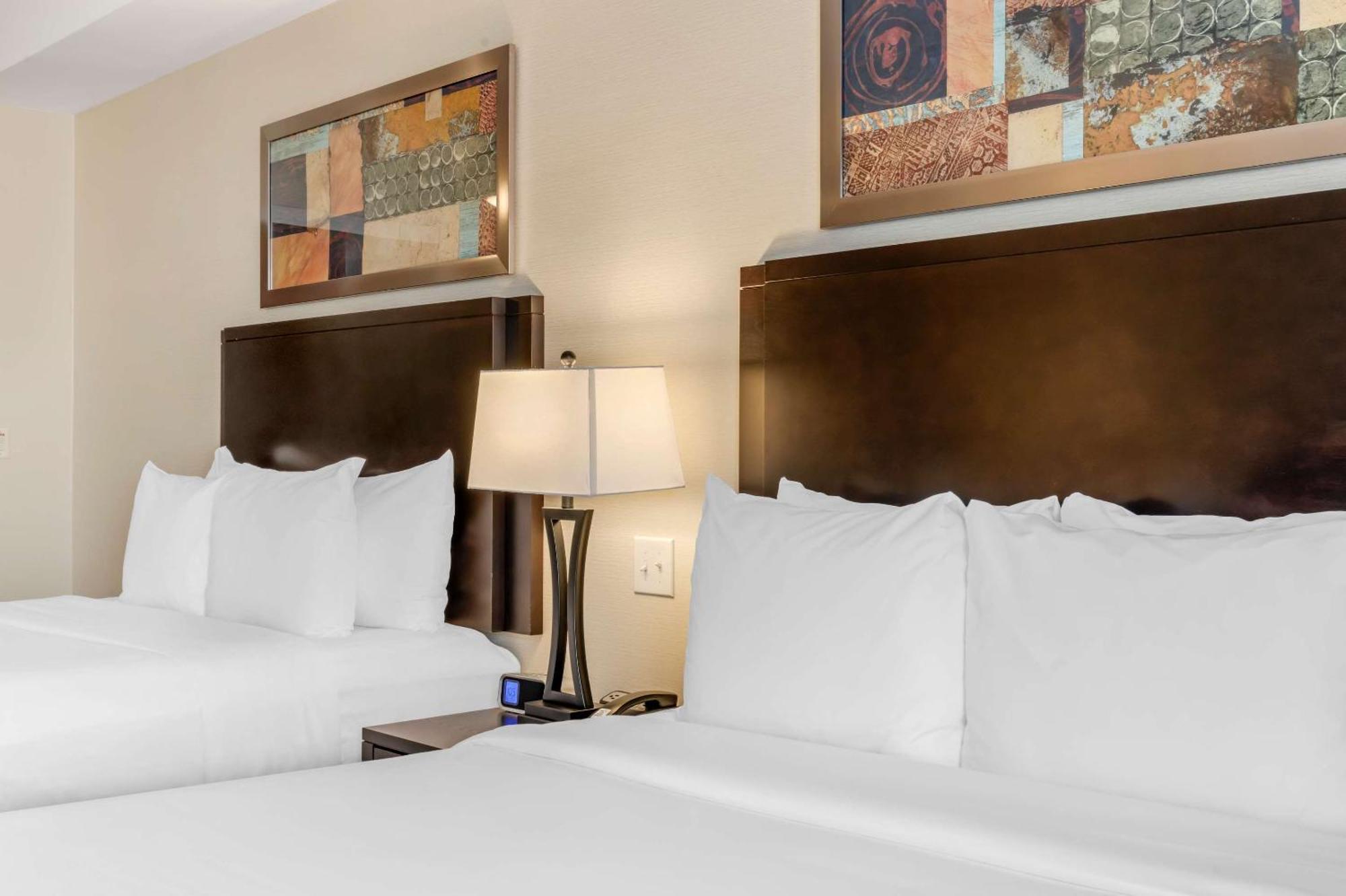 Comfort Hotel Bayer'S Lake Timberlea Dış mekan fotoğraf
